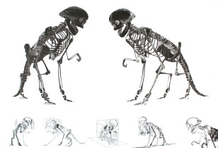 Stwory na potrzeby animacji komputerowej/Patrycja Frejno/2016